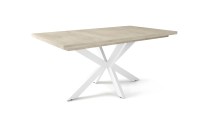 Dorothy_feher-cotta-cremona