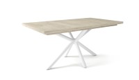 Suzy_feher-lab-cotta-cremona